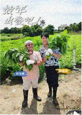 单行本快讯条目配图占位