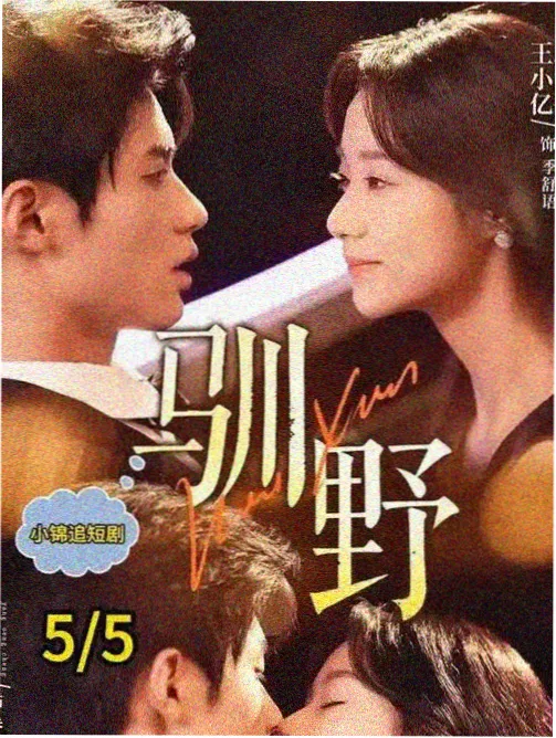 音效与动画化条目配图占位